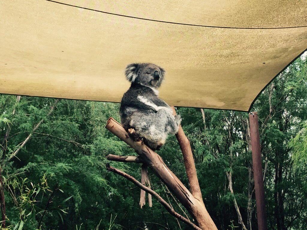 Things To Do in Australia