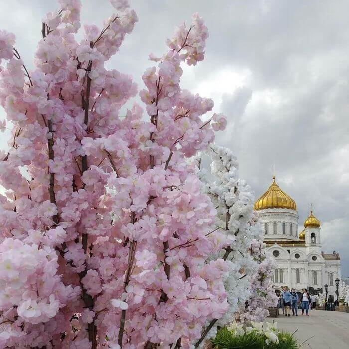 what is the best time of year to visit russia