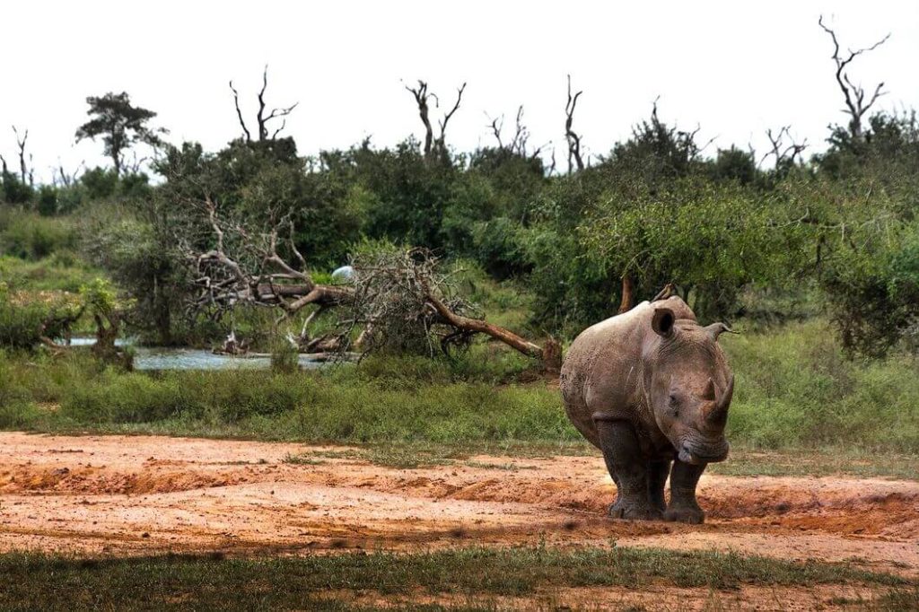 backpacking through africa