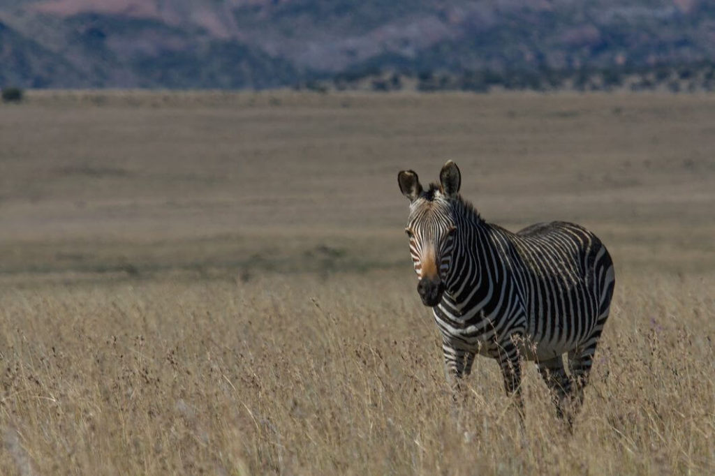 best places to travel in africa on a budget