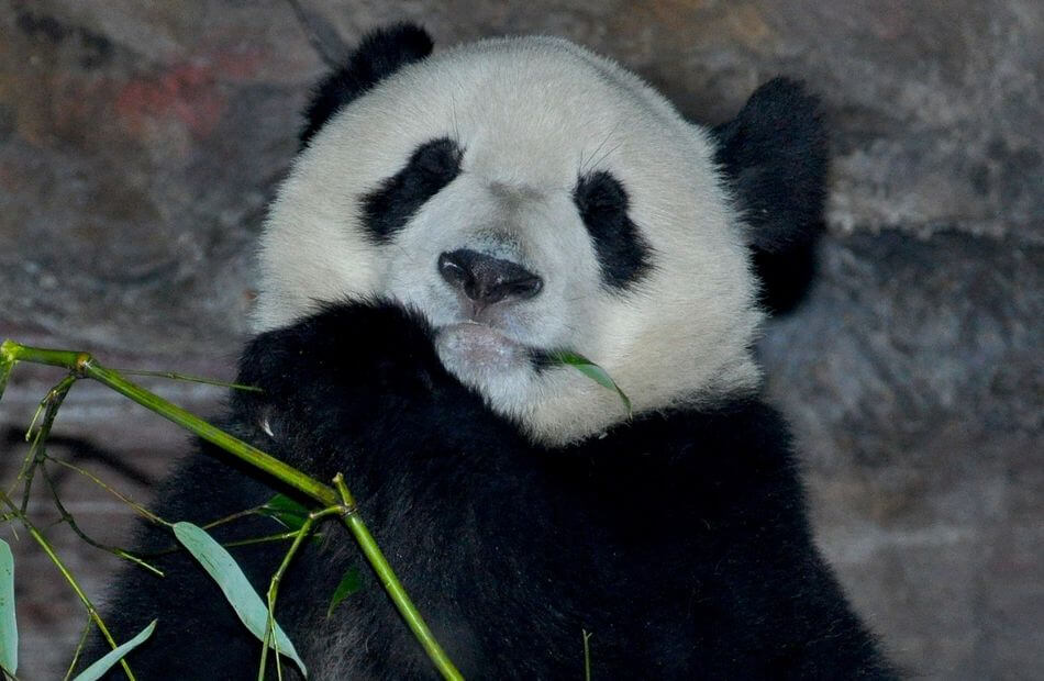 cost of visiting china