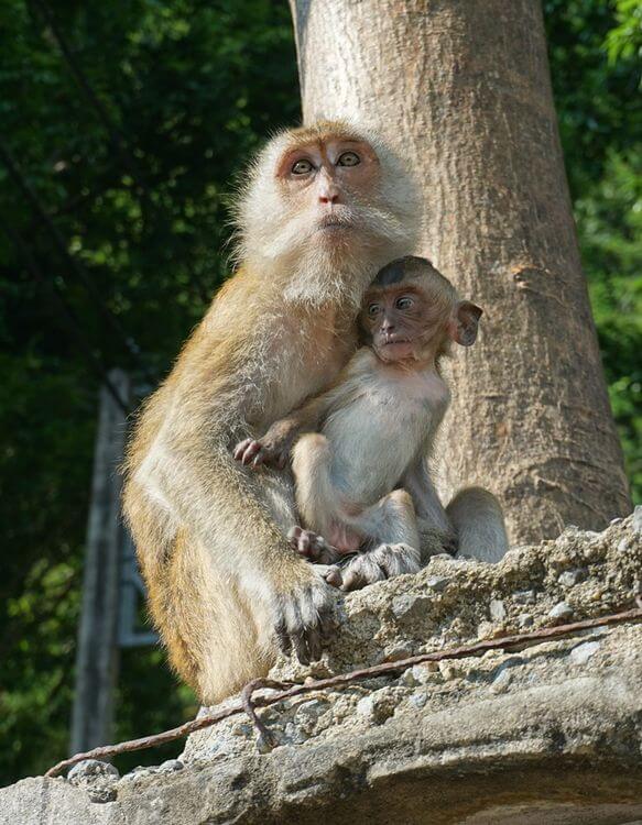 things to do in krabi