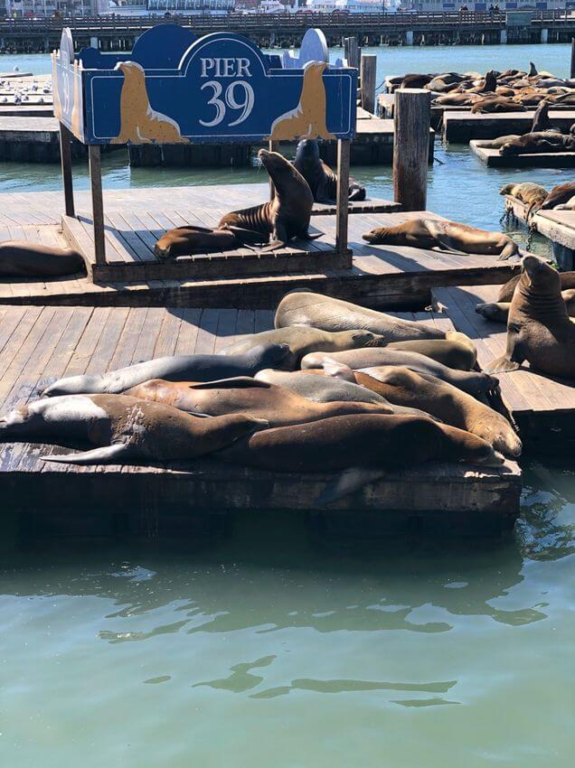 what to do in san francisco