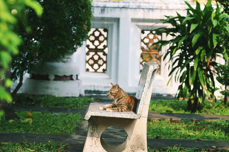 First Time Guide To Bangkok