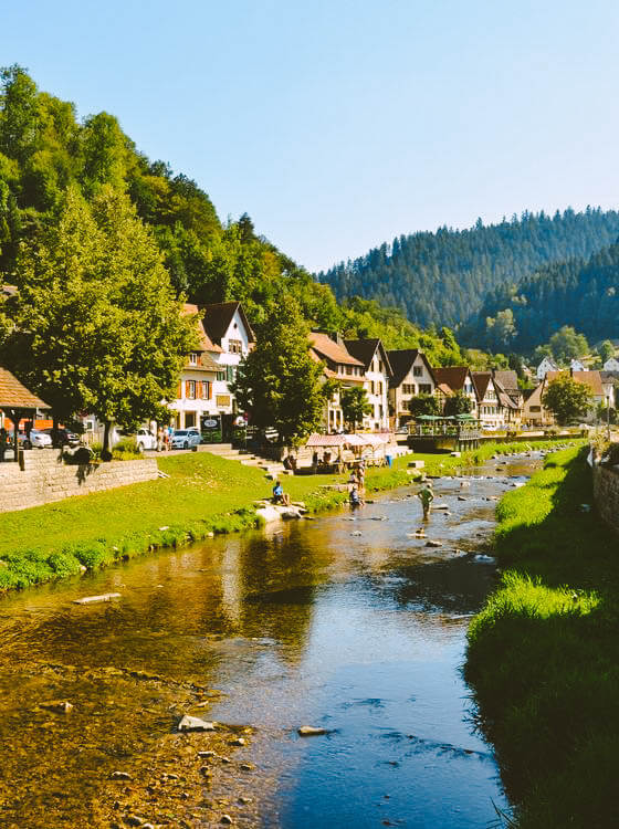 switcherland and germany black forest on your own