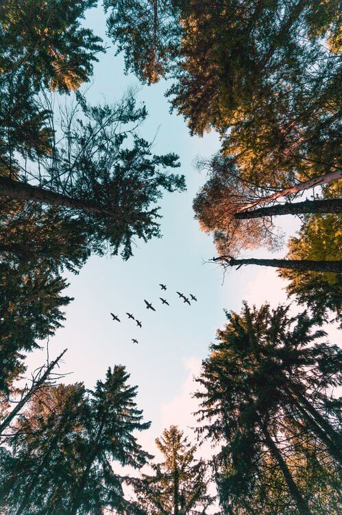 things to do before traveling abroad