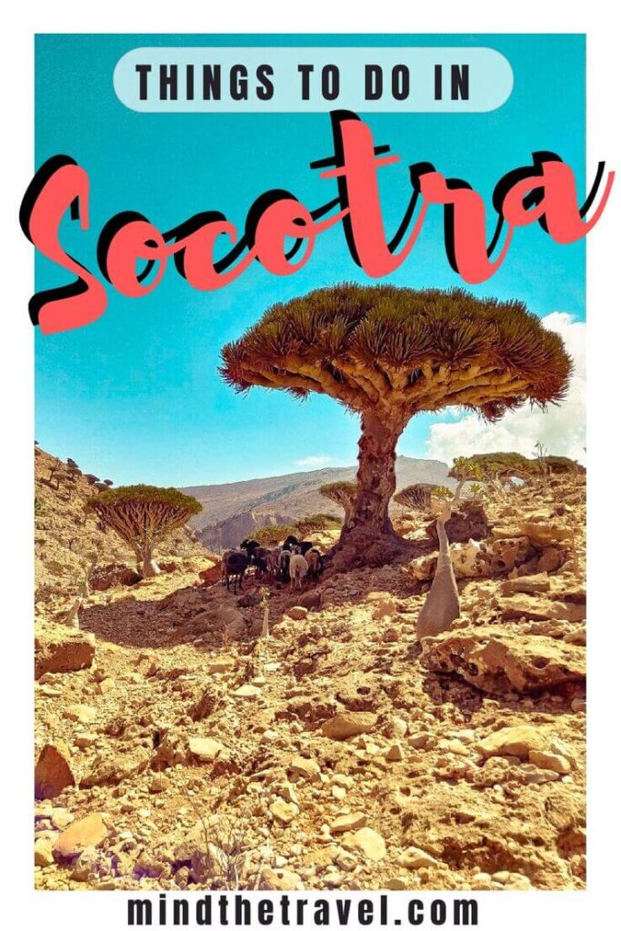 15 best things to do in socotra yemen