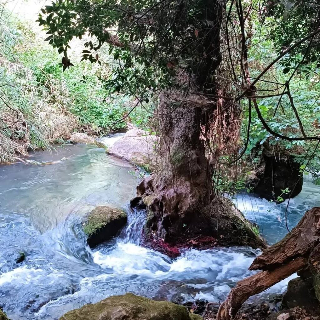 banias national park in israel