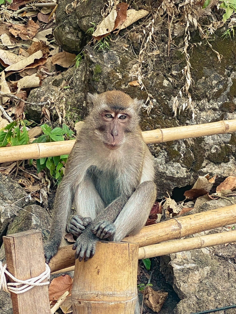 krabi travel itinerary