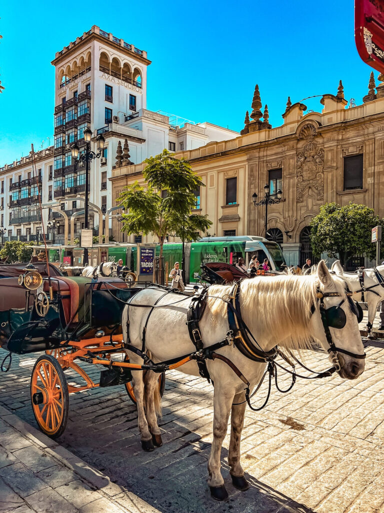 top ten things to do in seville spain