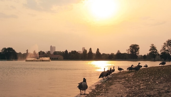 denver visit itinerary